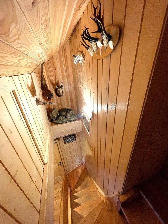 Siegel Almhuette Villa Zederhaus Bagian luar foto