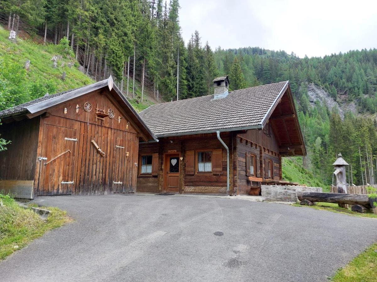 Siegel Almhuette Villa Zederhaus Bagian luar foto